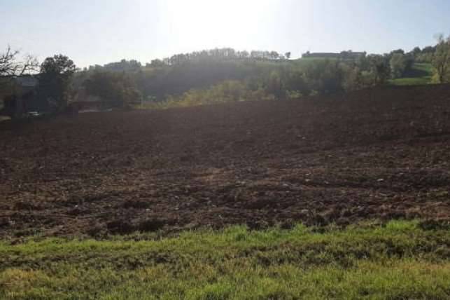 terreno agricolo in vendita a Piozzano
