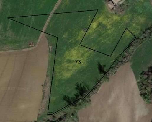 terreno agricolo in vendita a Piozzano
