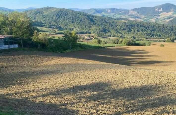 casa indipendente in vendita a Piozzano
