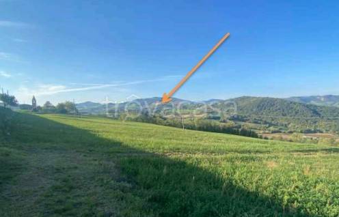 terreno agricolo in vendita a Piozzano