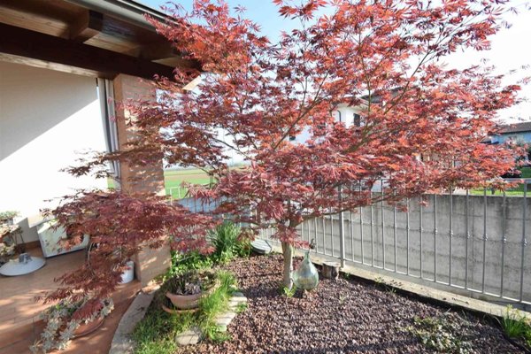 casa indipendente in vendita a Podenzano in zona Altoè