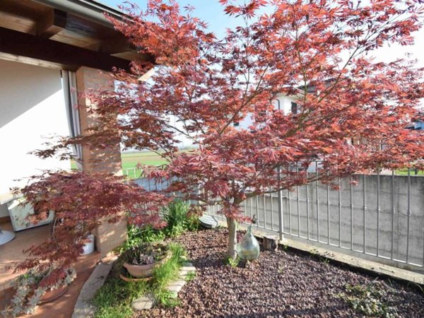 casa indipendente in vendita a Podenzano in zona Altoè