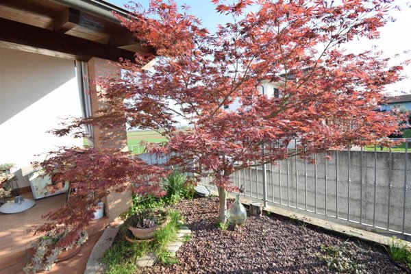 casa indipendente in vendita a Podenzano in zona Altoè