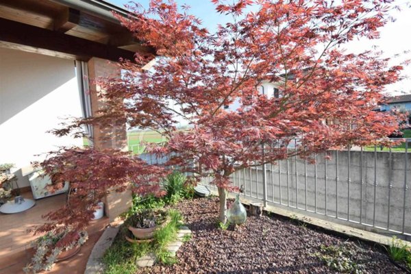casa indipendente in vendita a Podenzano in zona Altoè