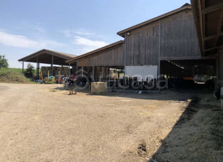 azienda agricola in vendita a Ponte dell'Olio