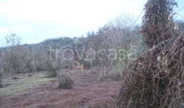 appartamento in vendita a Ponte dell'Olio