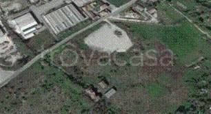 terreno agricolo in vendita a Ponte dell'Olio