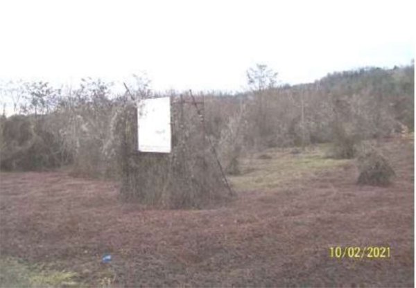 casa indipendente in vendita a Ponte dell'Olio