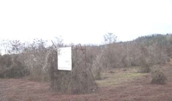 terreno edificabile in vendita a Ponte dell'Olio