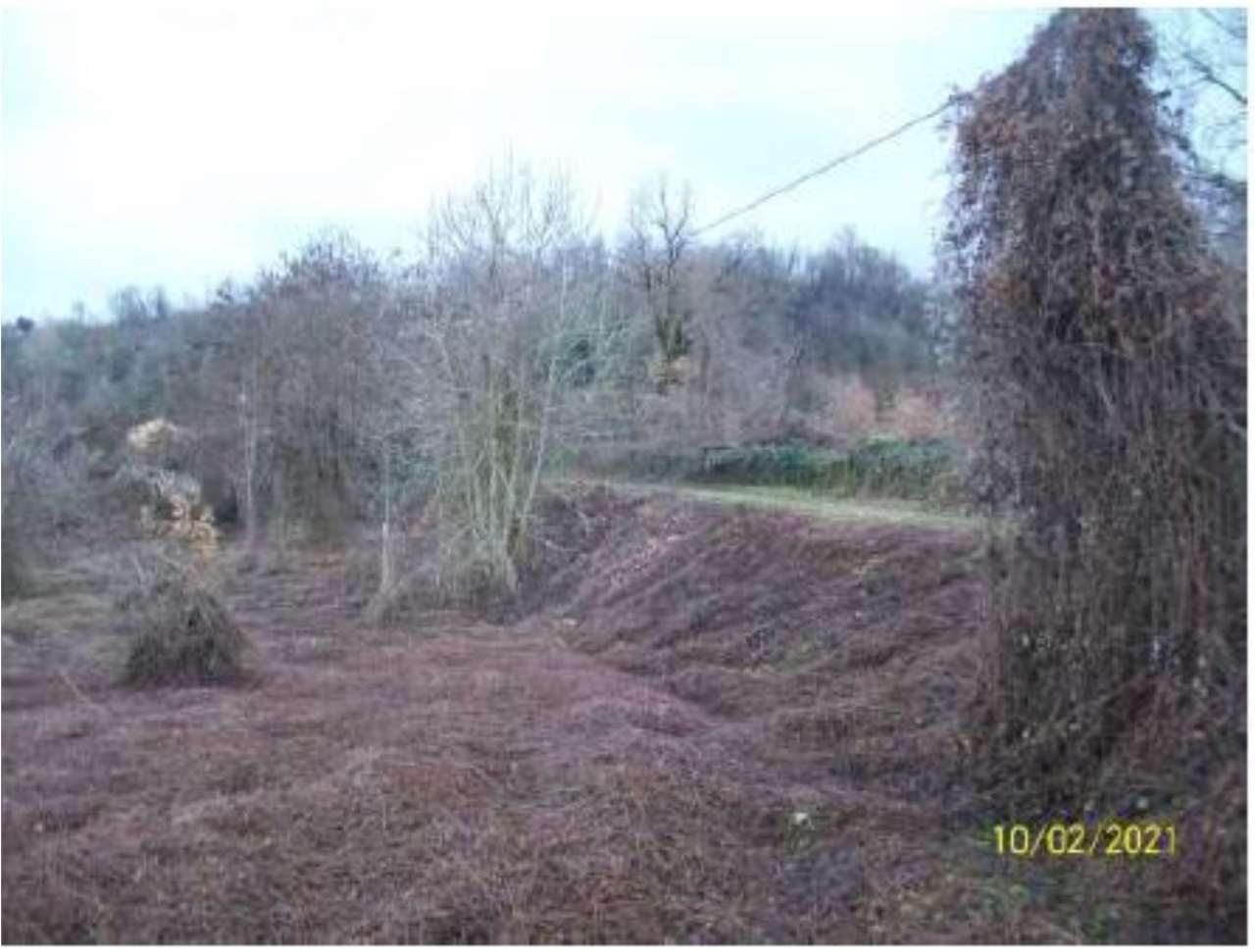 casa indipendente in vendita a Ponte dell'Olio