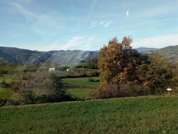 esavano in vendita a Ponte dell'Olio