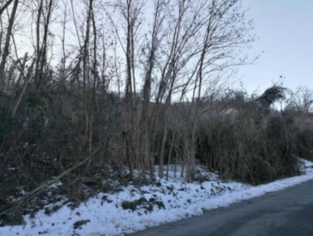 terreno agricolo in vendita a Ponte dell'Olio in zona Cassano