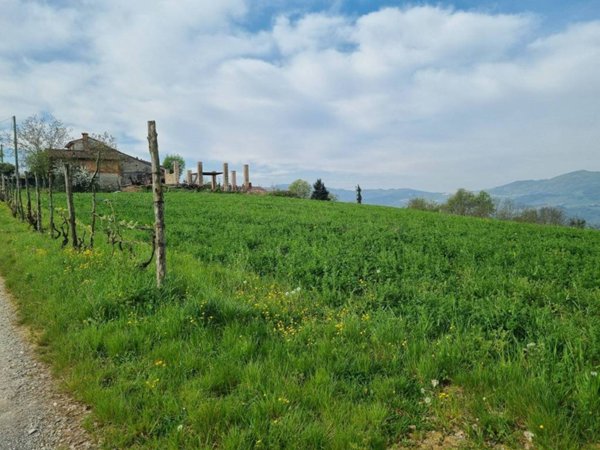 terreno agricolo in vendita a Ponte dell'Olio