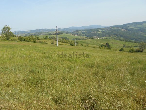 casa indipendente in vendita a Ponte dell'Olio
