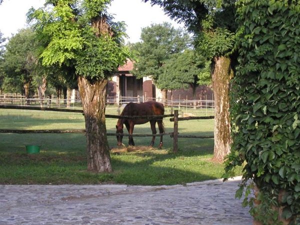casa indipendente in vendita a Pontenure