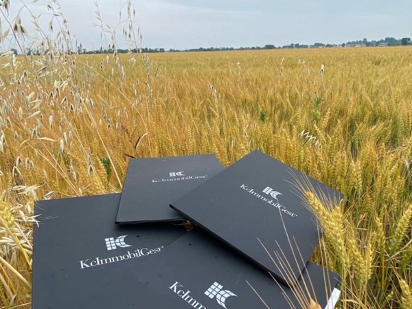 terreno agricolo in vendita a Rivergaro