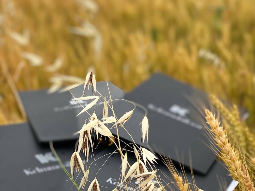 terreno agricolo in vendita a Rivergaro