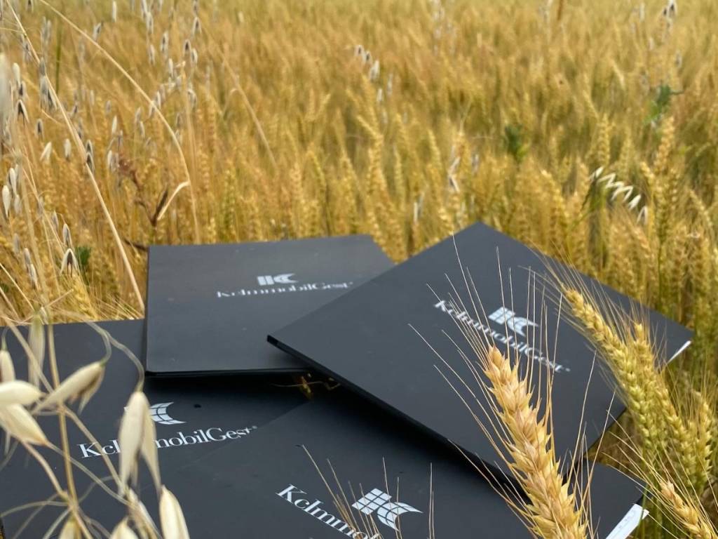 terreno agricolo in vendita a Rivergaro