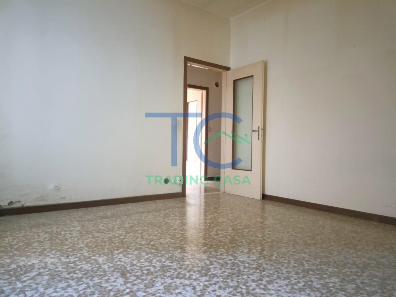 immagine annuncio 0 di 15