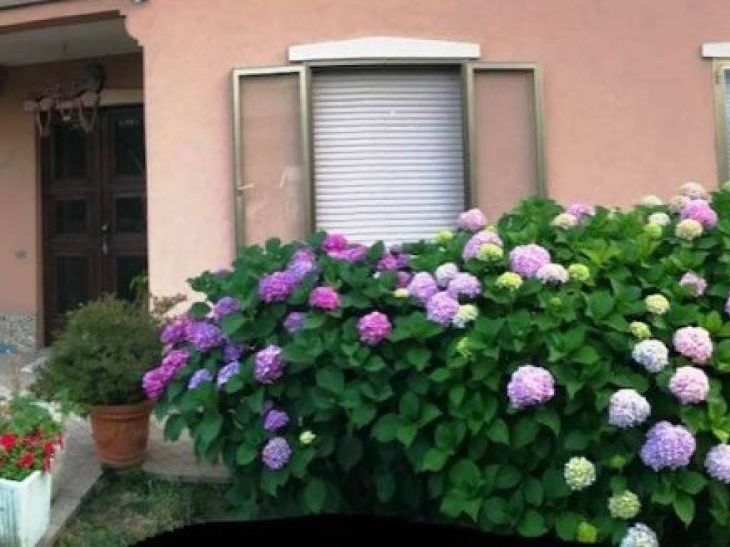 appartamento in vendita a Rivergaro
