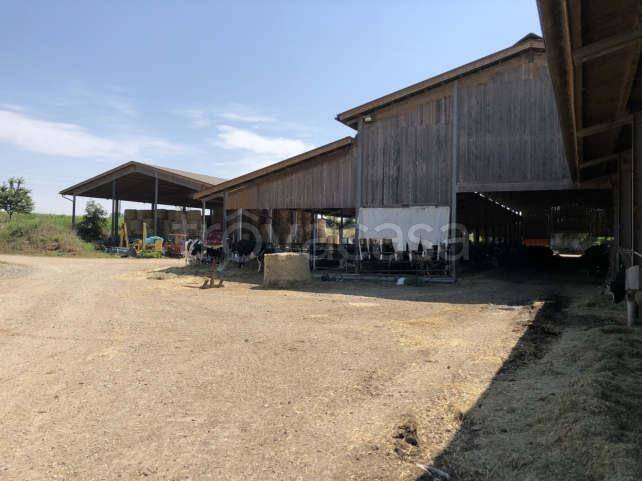 ufficio in vendita a Rivergaro in zona Niviano