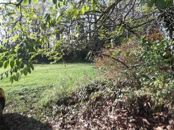 terreno agricolo in vendita a Rivergaro in zona Pieve Dugliara