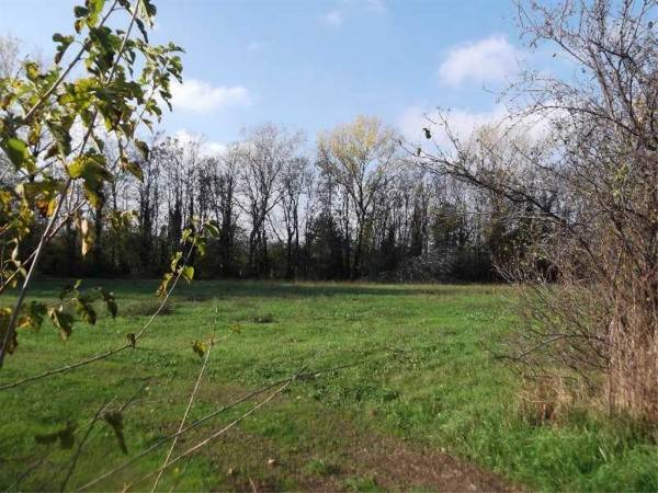 terreno agricolo in vendita a Rivergaro in zona Pieve Dugliara