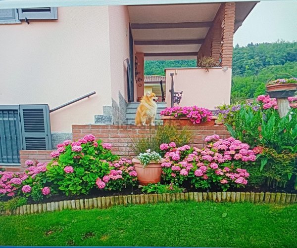 casa indipendente in vendita a Rivergaro