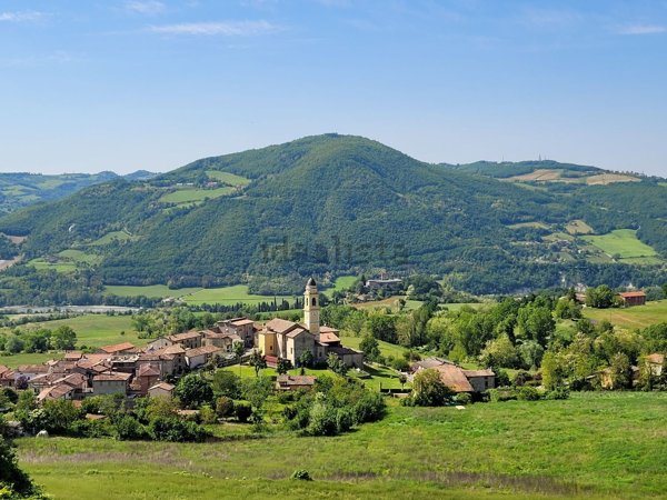 quadrivano in vendita a Rivergaro