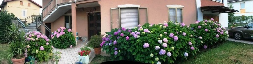 appartamento in vendita a Rivergaro