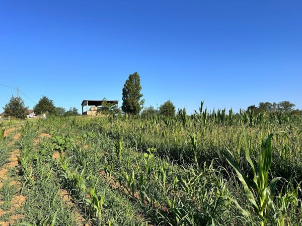 terreno agricolo in vendita a Rivergaro in zona Niviano