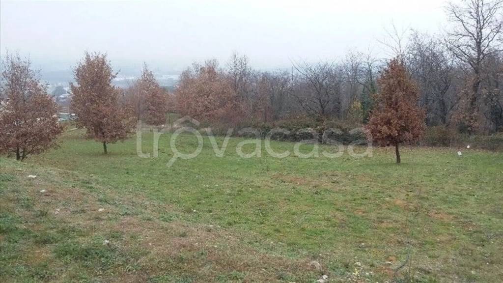 terreno agricolo in vendita a Rivergaro