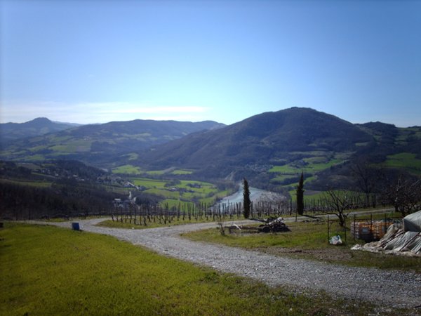 casa indipendente in vendita a Rivergaro in zona Mandrola