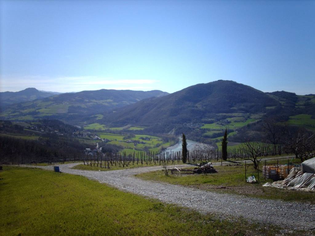 terreno agricolo in vendita a Rivergaro in zona Roveleto Landi