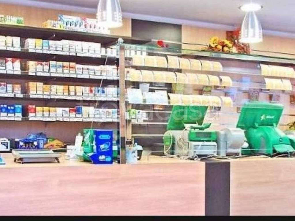 appartamento in vendita a Rottofreno