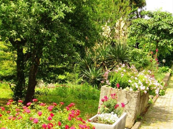 casa indipendente in vendita a Rottofreno