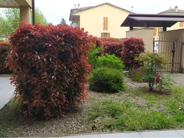 appartamento in vendita a Rottofreno