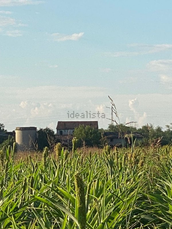 casa indipendente in vendita a Rottofreno