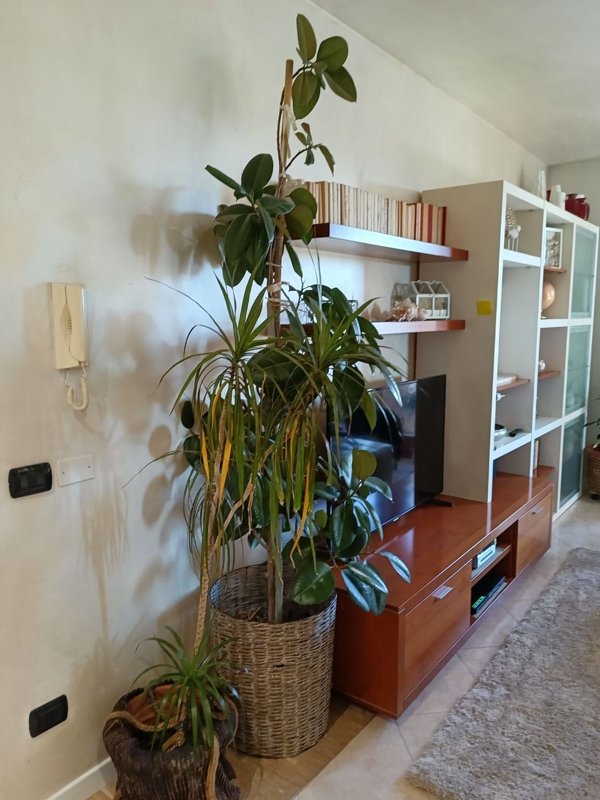 appartamento in vendita a Rottofreno