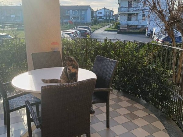 appartamento in vendita a Rottofreno