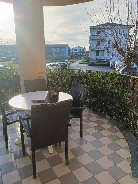 appartamento in vendita a Rottofreno