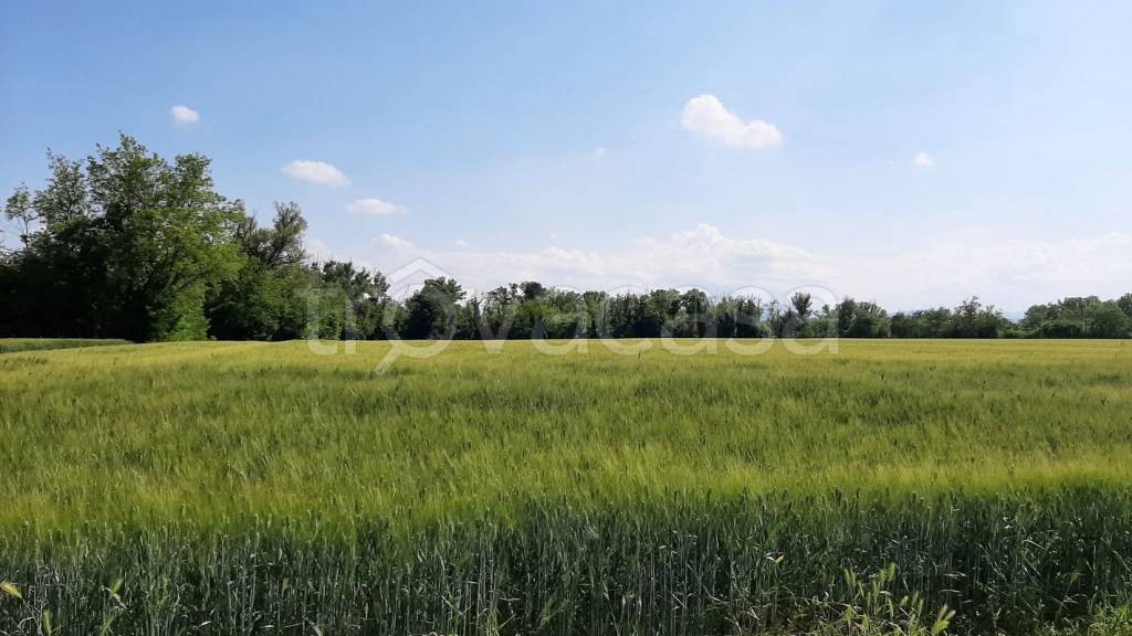 terreno agricolo in vendita a San Giorgio Piacentino