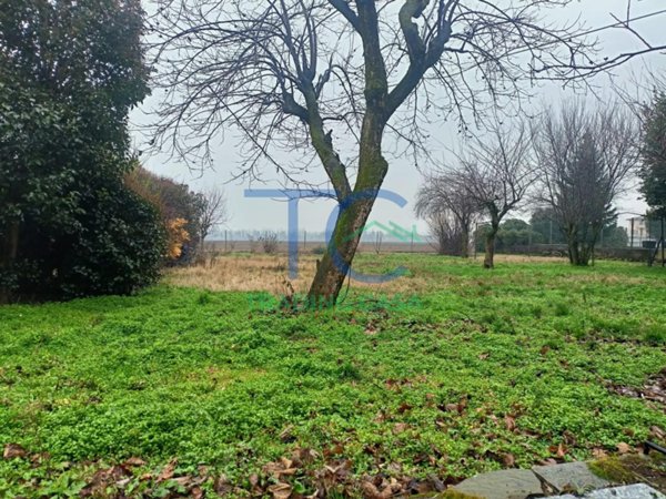 casa indipendente in vendita a San Giorgio Piacentino