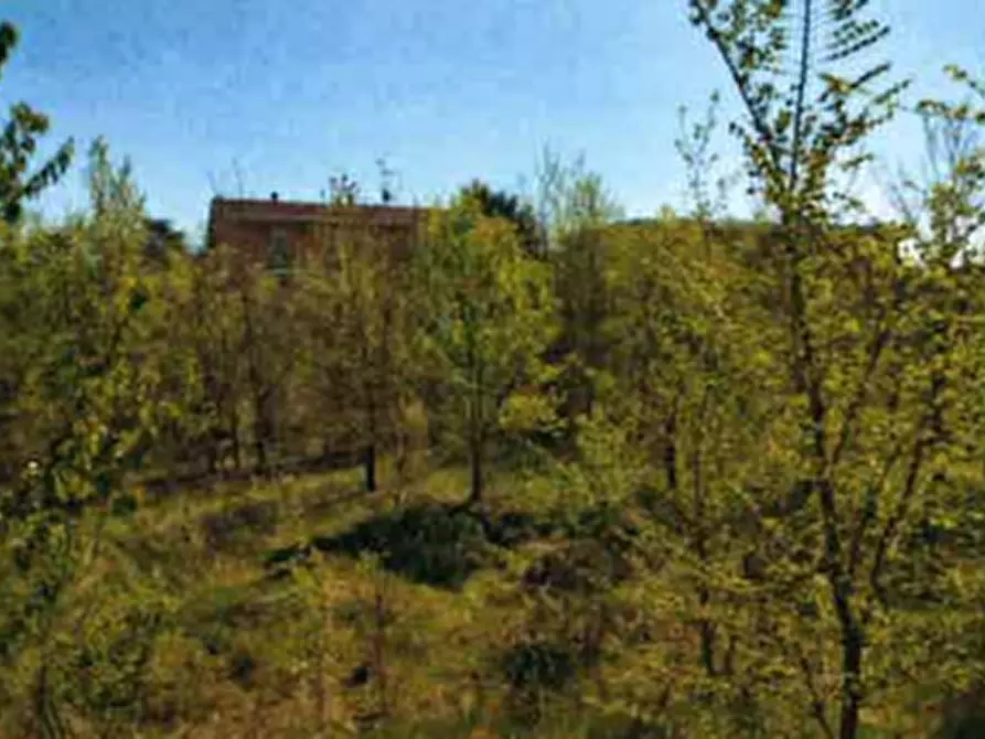 terreno edificabile in vendita a San Giorgio Piacentino