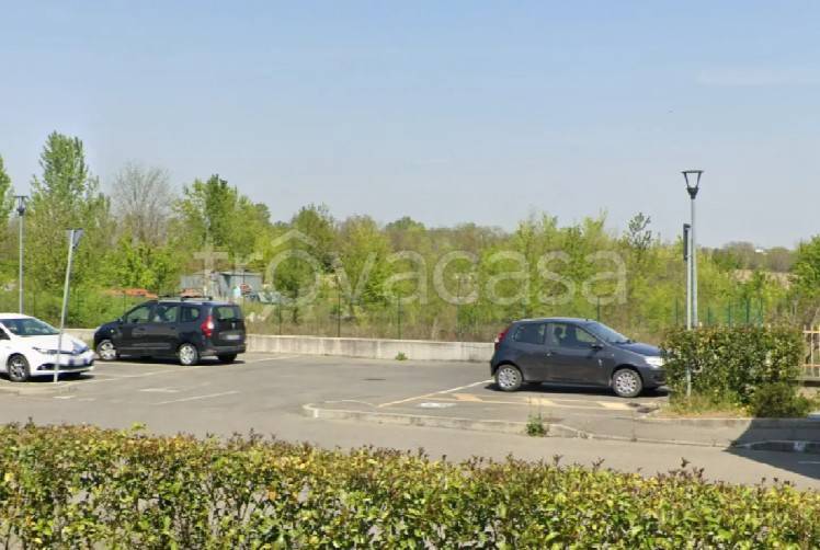 terreno agricolo in vendita a San Giorgio Piacentino