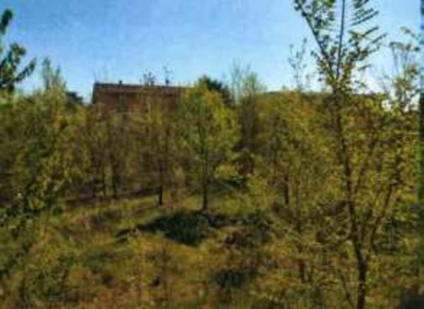 terreno edificabile in vendita a San Giorgio Piacentino