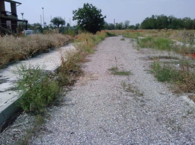 terreno agricolo in vendita a San Giorgio Piacentino