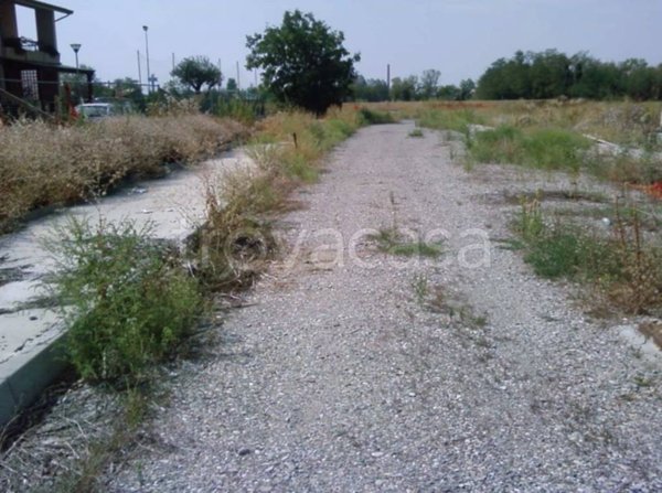 terreno agricolo in vendita a San Giorgio Piacentino