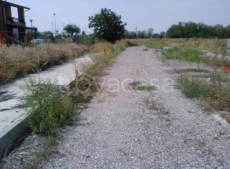 terreno agricolo in vendita a San Giorgio Piacentino