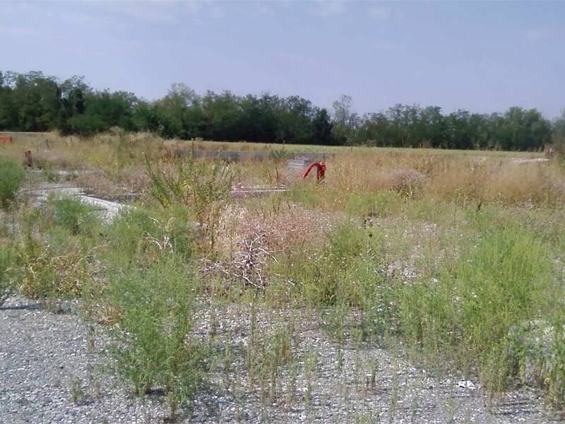 terreno edificabile in vendita a San Giorgio Piacentino